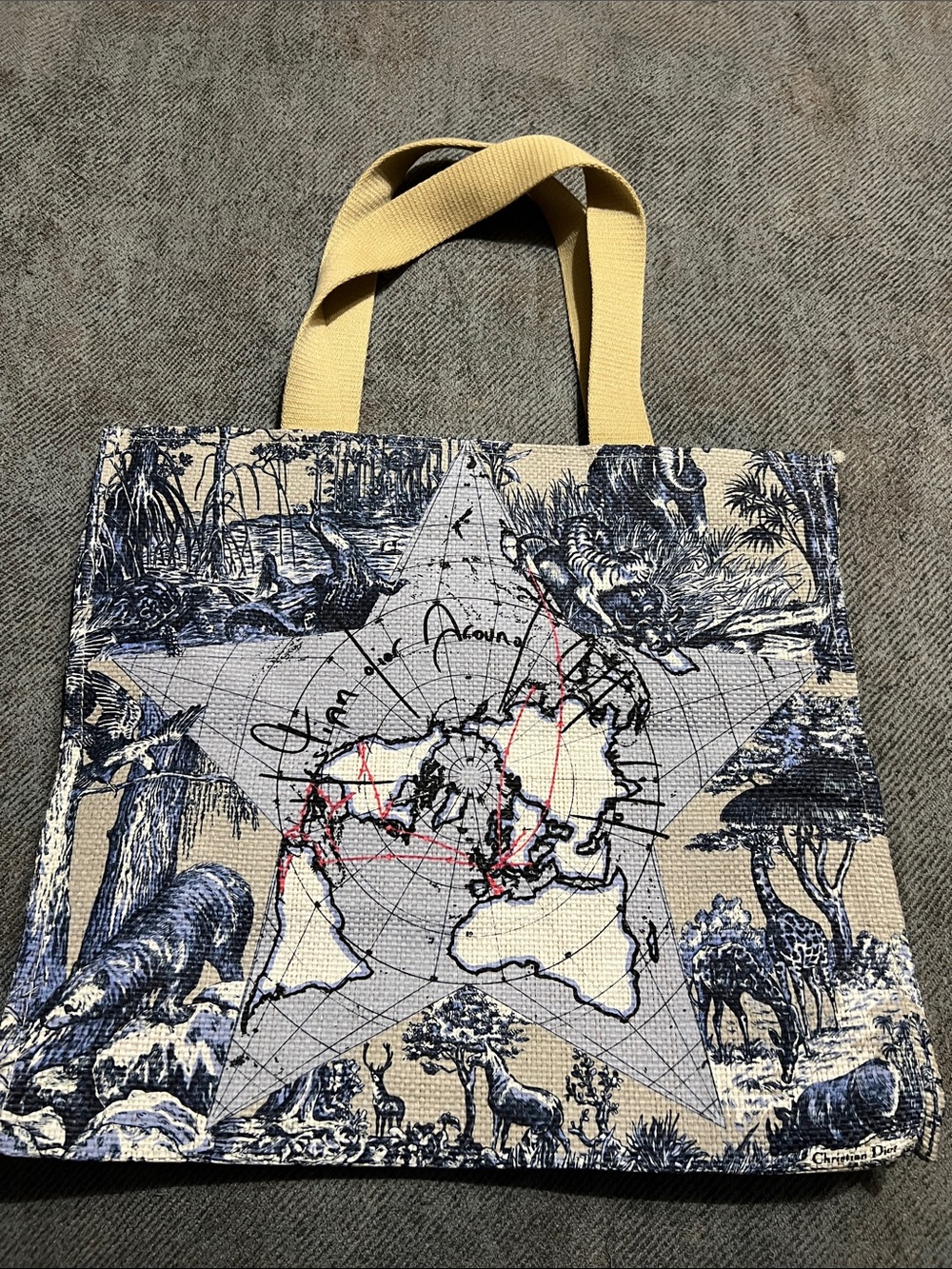Dior Embroidered Star Map Canvas Tote in Navy and Cream